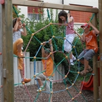 Spinnennetz